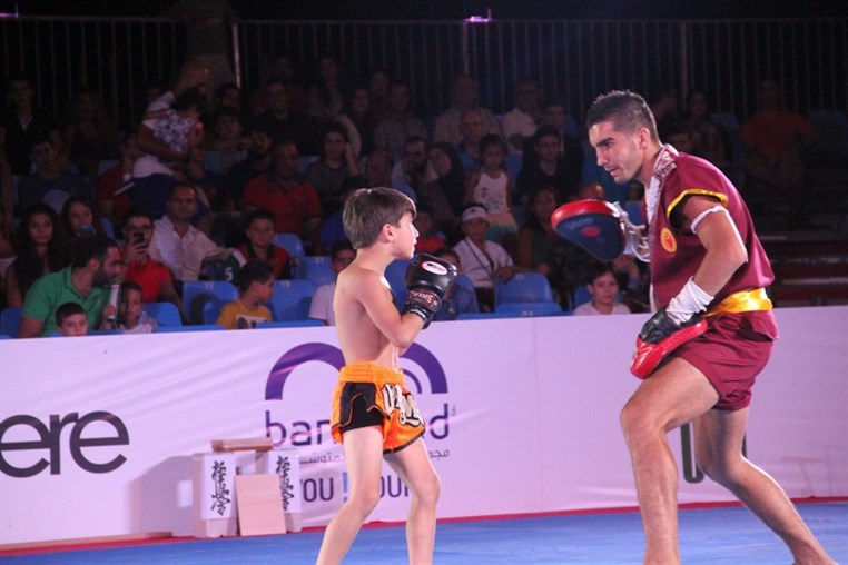Martial Arts Festival